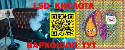 прущие грибы Краснознаменск