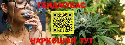 прущие грибы Краснознаменск
