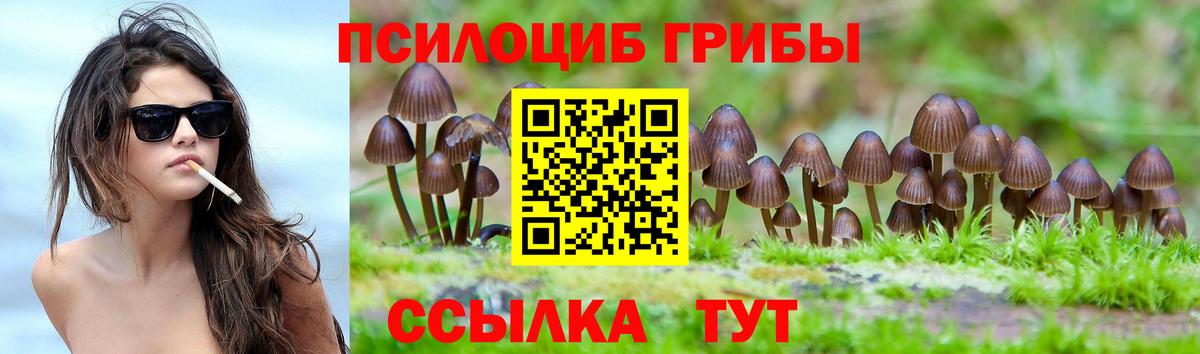 Галлюциногенные грибы Magic Shrooms  Вход с VPN  Галлюциногенные грибы мицелий  Знаменск 